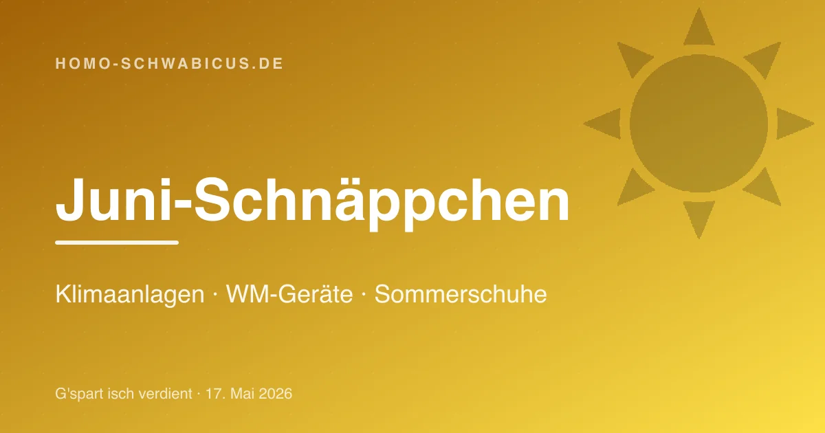 Juni-Schnäppchen: Klimaanlagen · WM-Geräte · Sommerschuhe